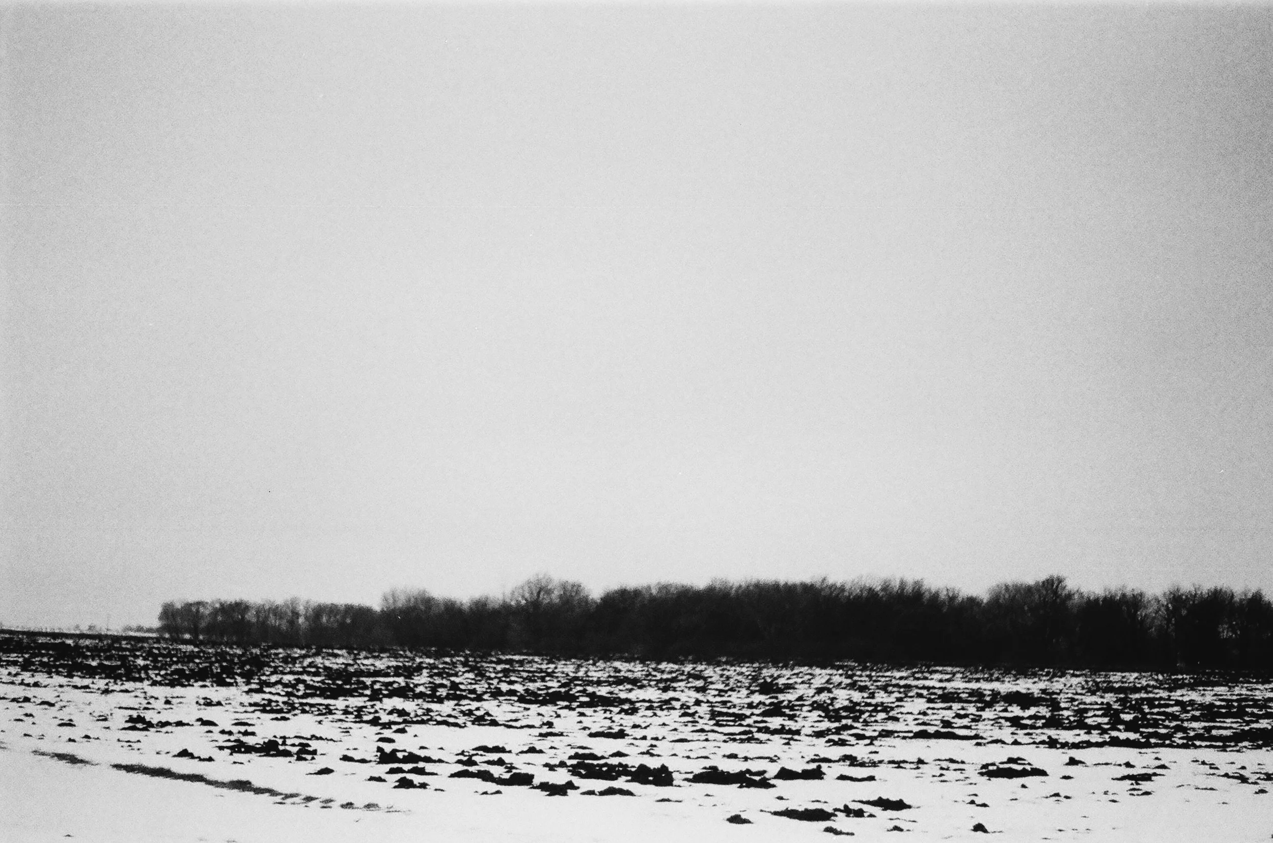 53070015-VSCO.jpeg