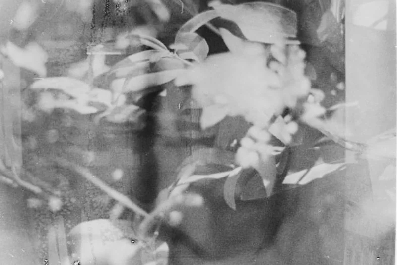 6d8246ff-abb4-4024-a6b3-d5bf65993b69.jpeg