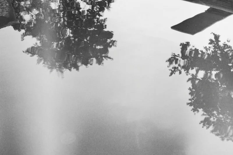 3c8b1aea-5378-4883-9282-85a9df61826a.jpeg