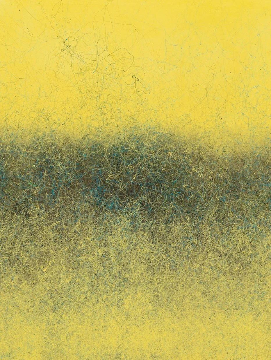SOFTSCAPE