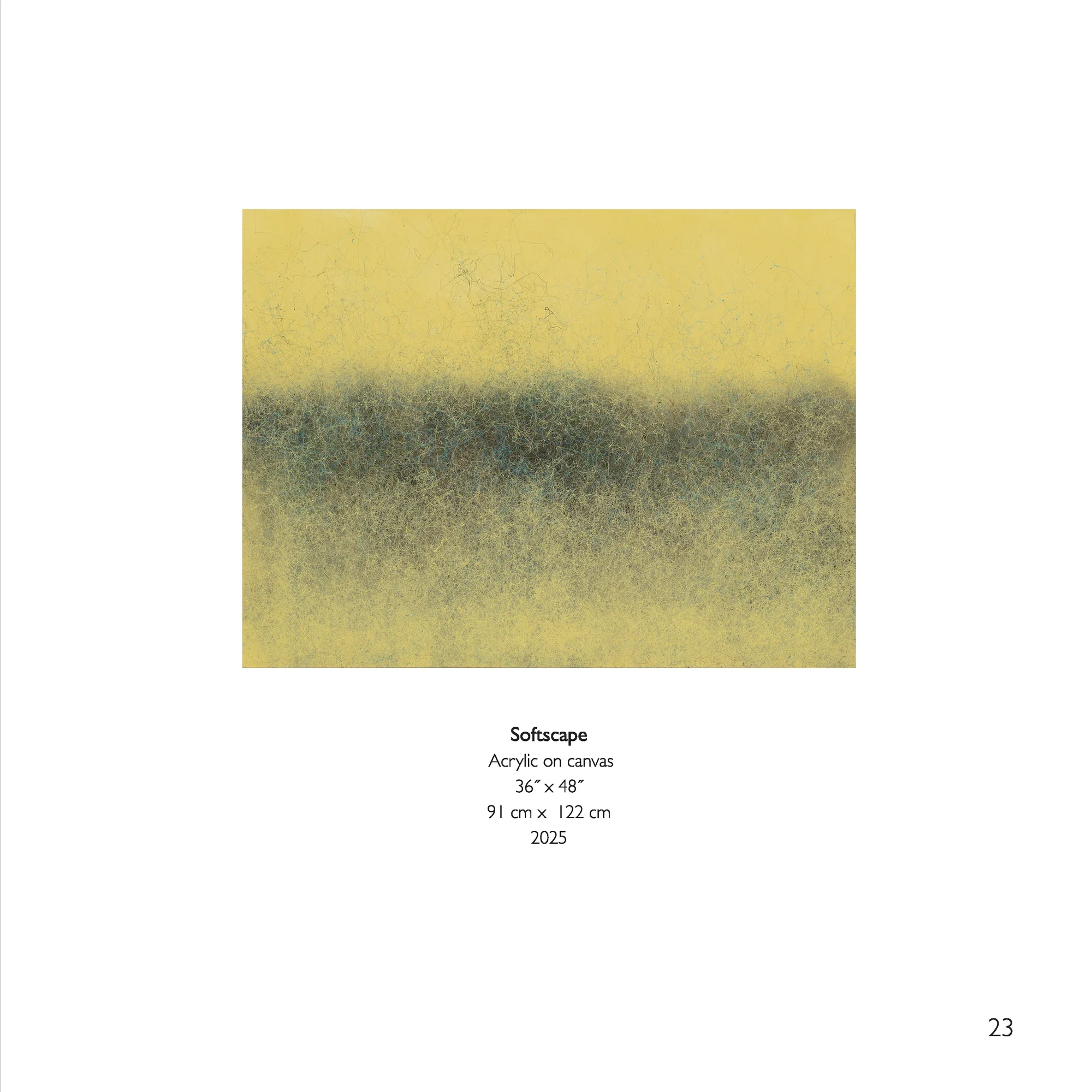 Rocky Morton Dooin PDF _Page_23.webp