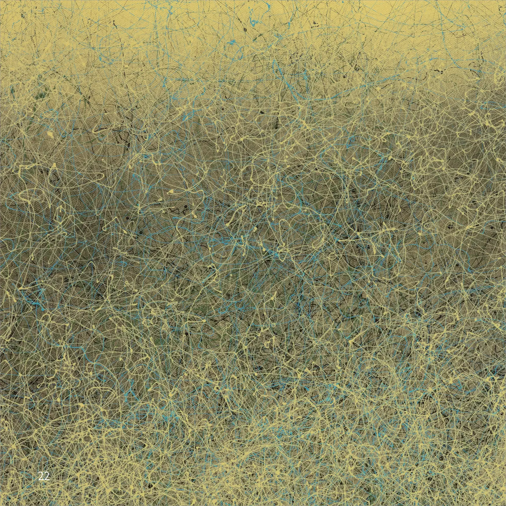 Rocky Morton Dooin PDF _Page_22.webp