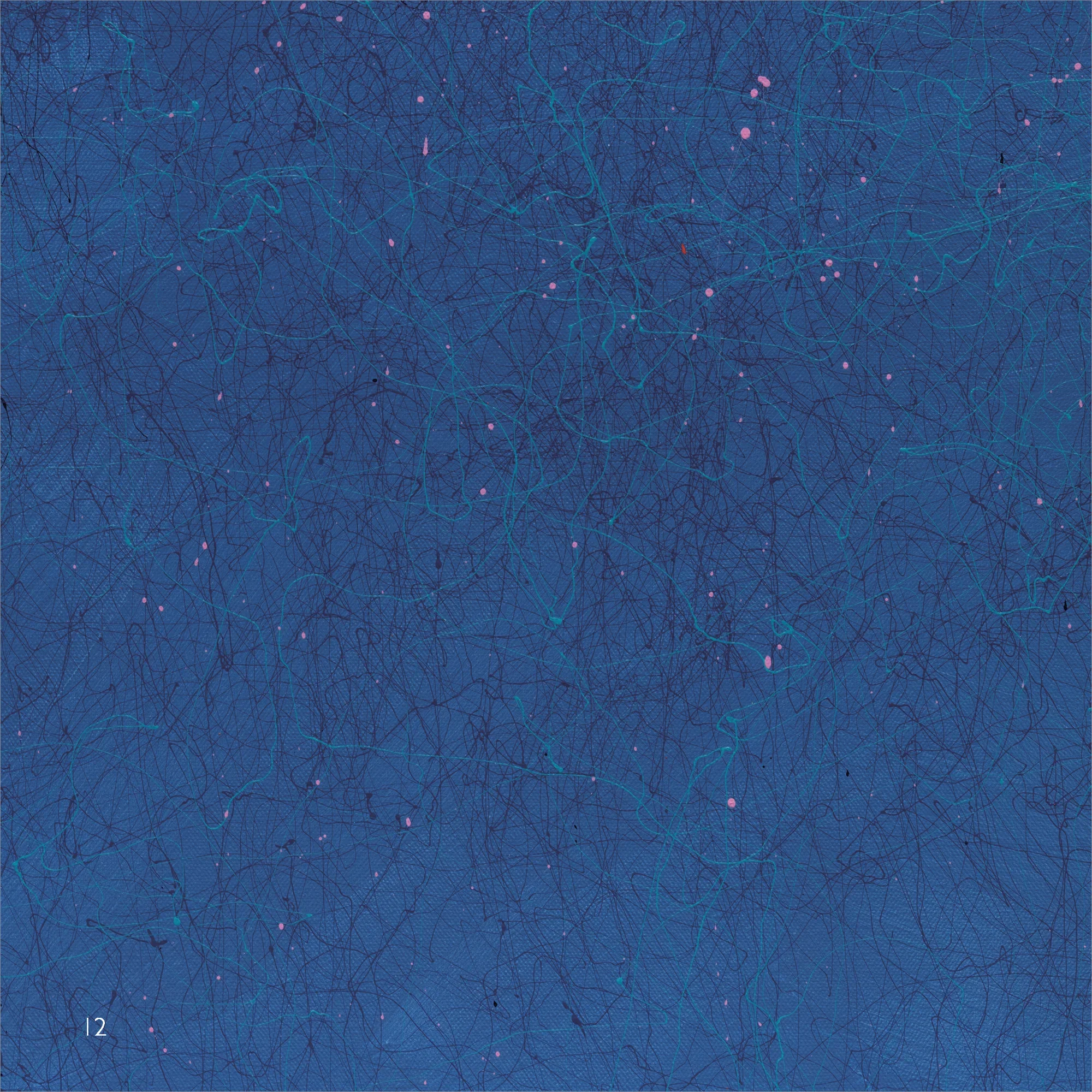 Rocky Morton Dooin PDF _Page_12.webp