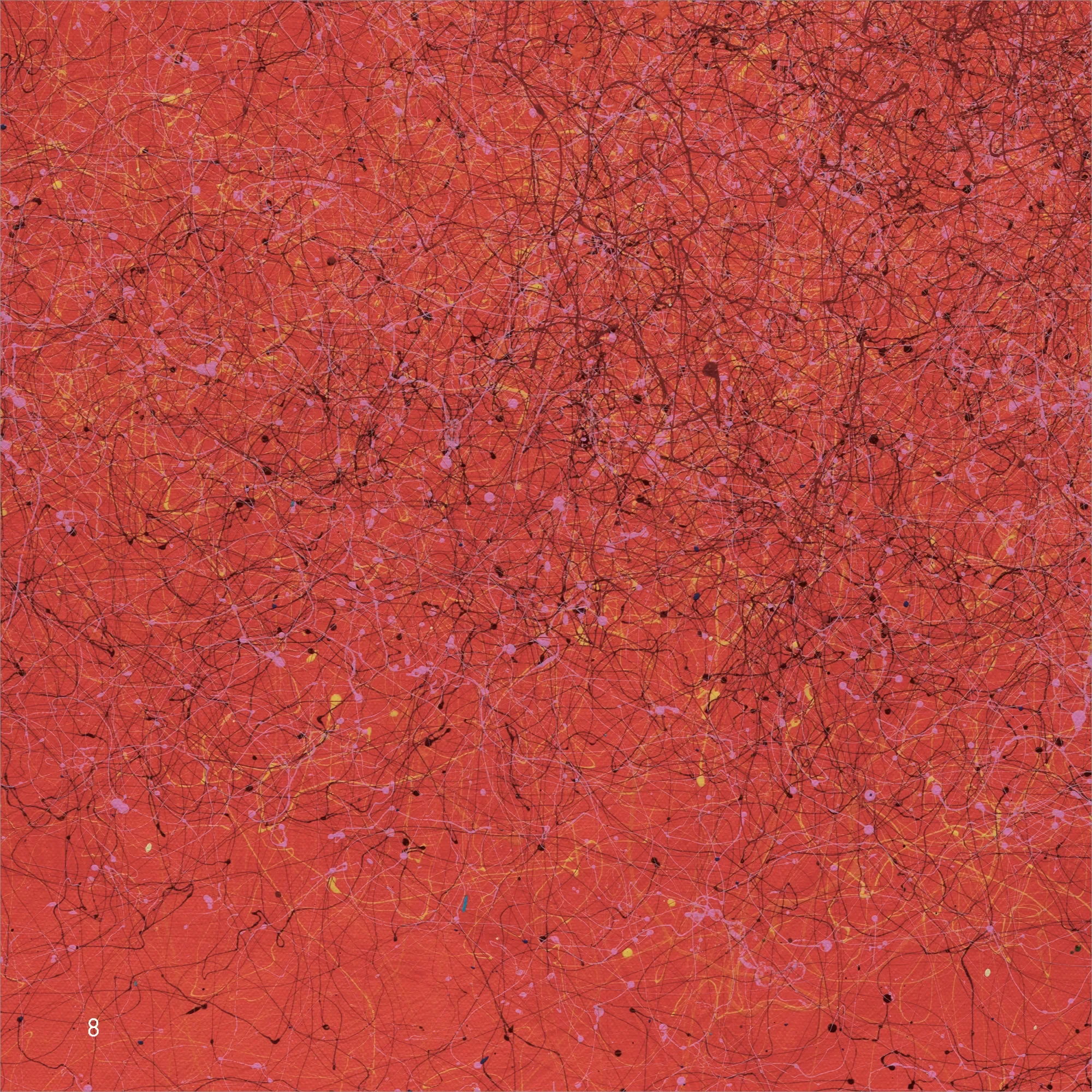 Rocky Morton Dooin PDF _Page_08.webp