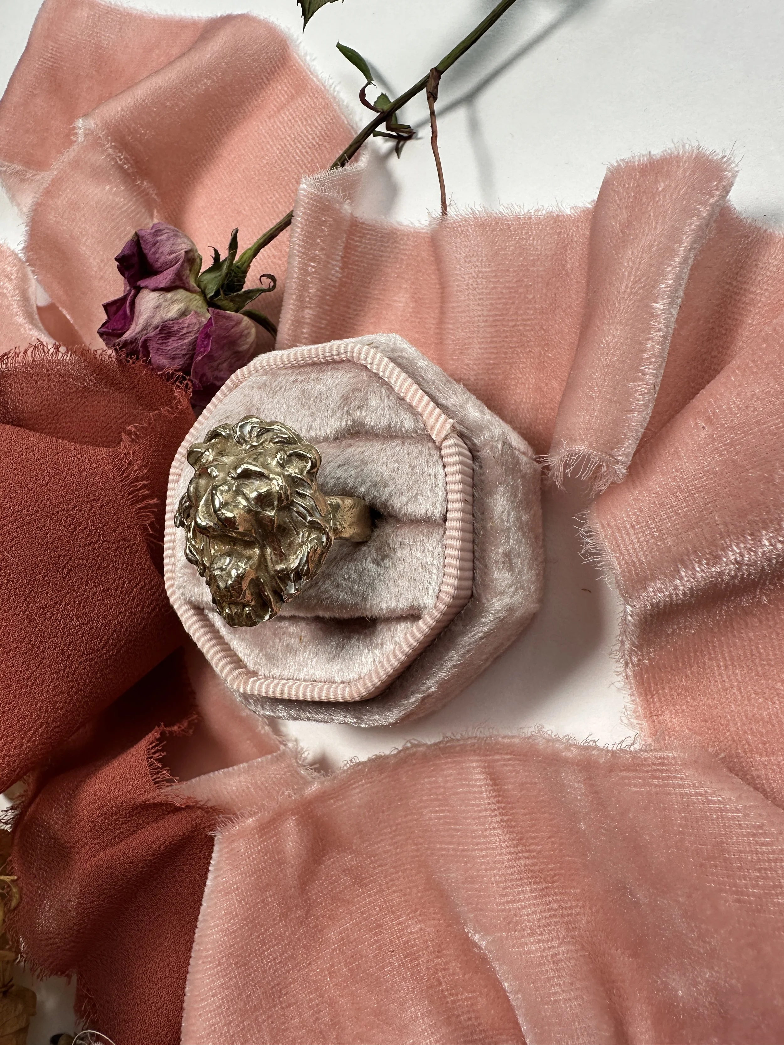 2026-01-06 13.04.07.jpg