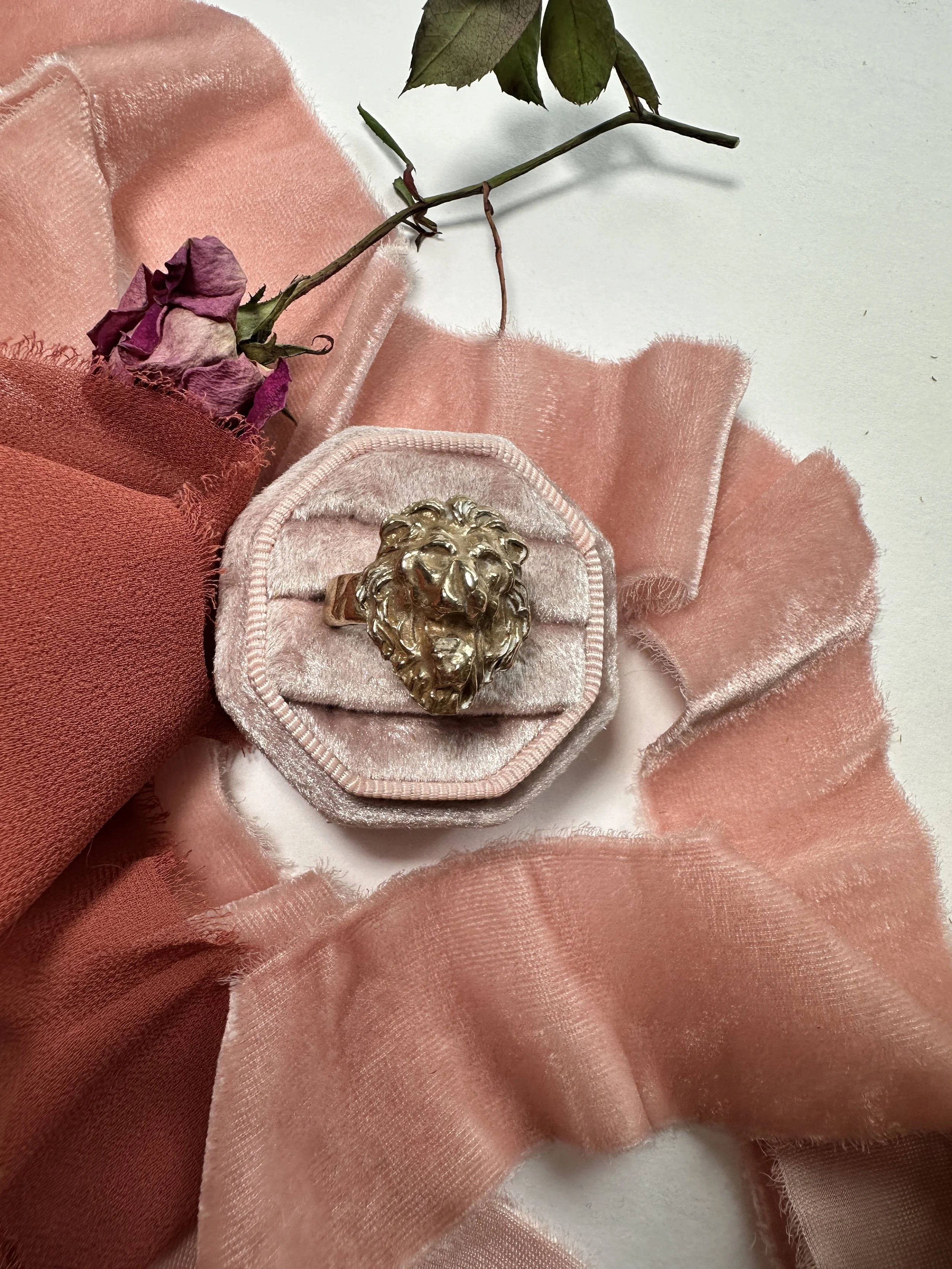 2026-01-06 13.04.04.jpg