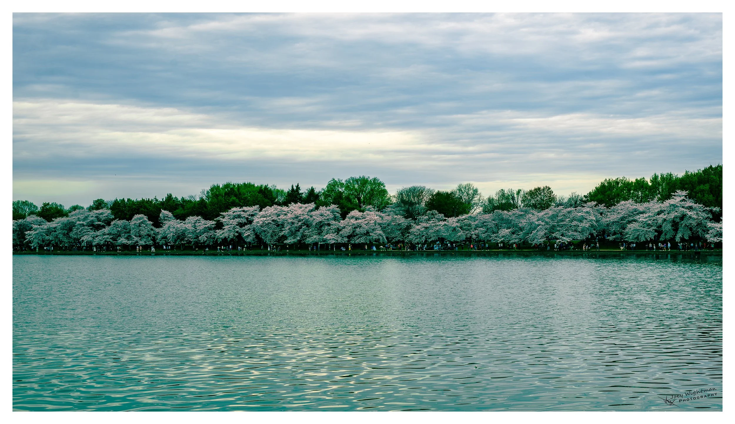 _DSC3896-Enhanced-NR.jpg