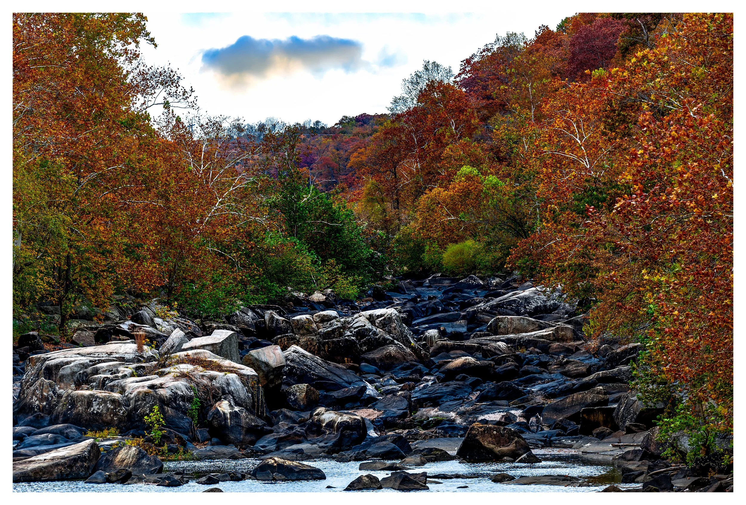 _DSC3238-3.jpg