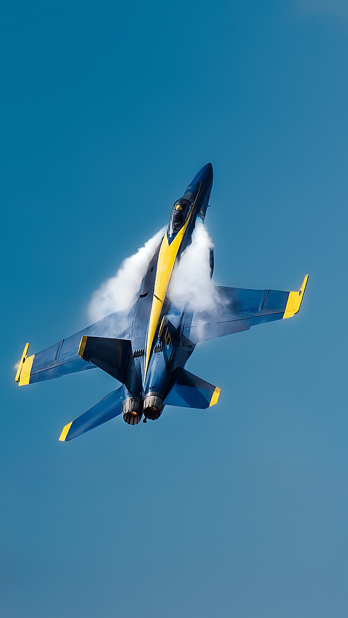 DSC_6463.jpg