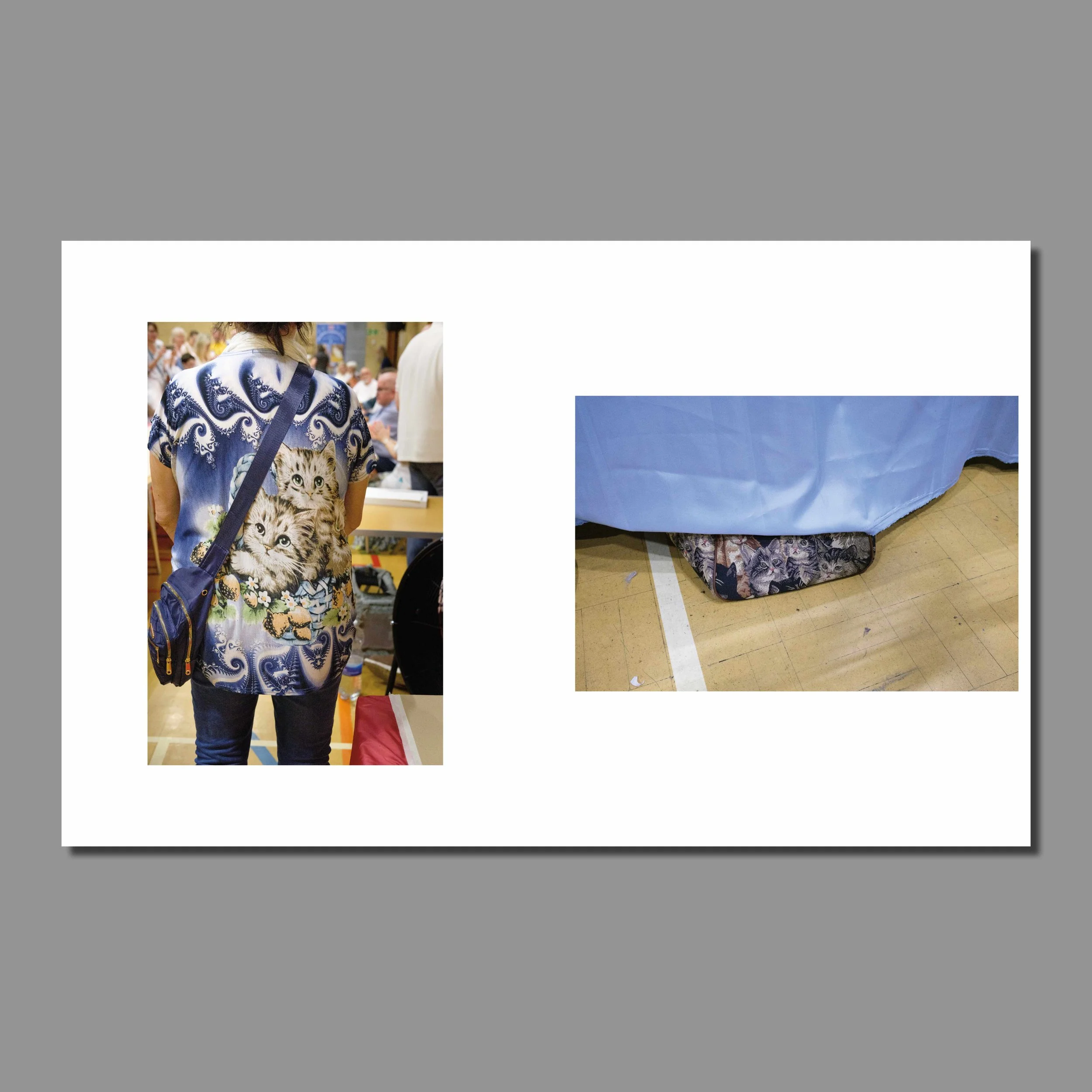 inner pages lower res_7.jpg