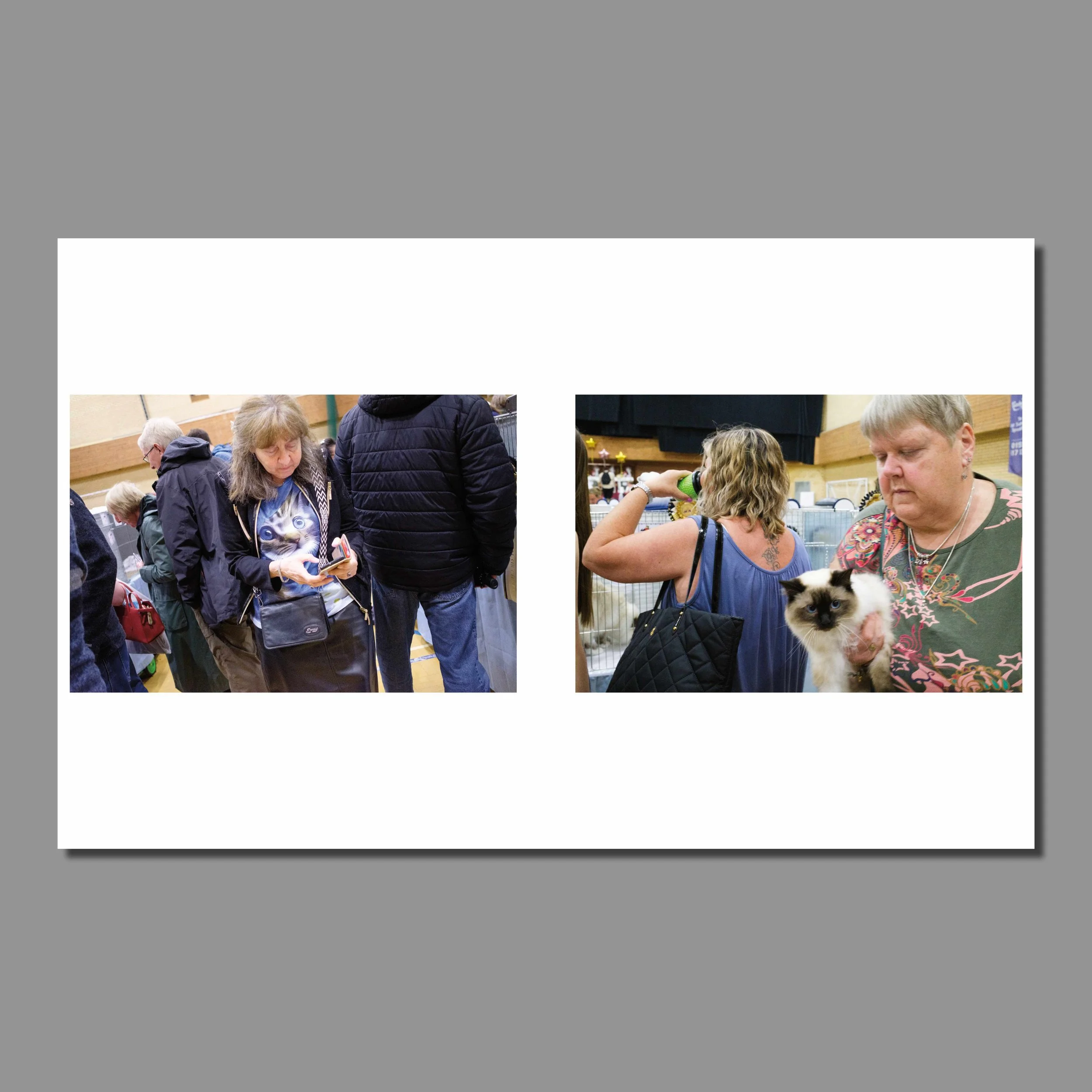 inner pages lower res_6.jpg
