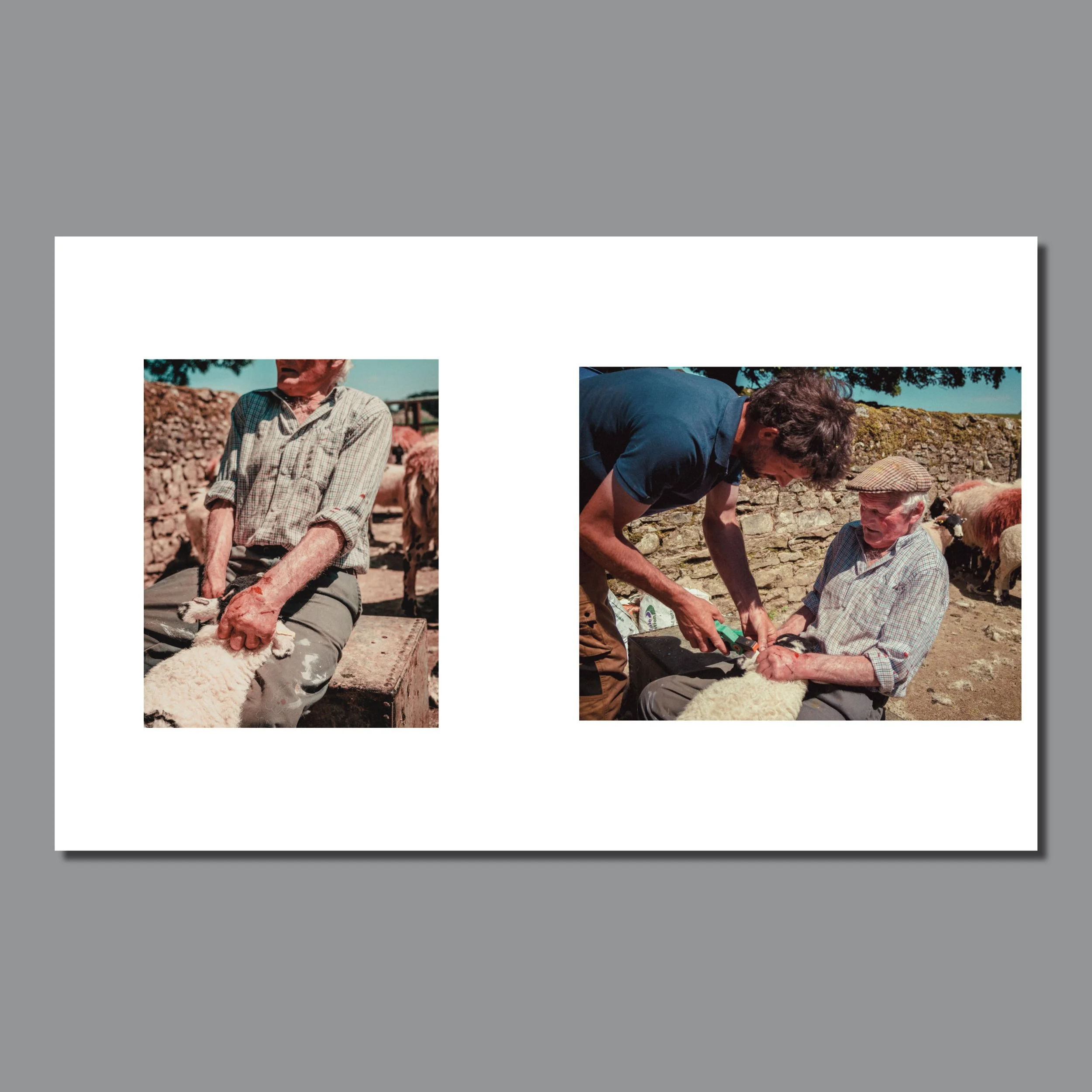 spreads_1.jpg