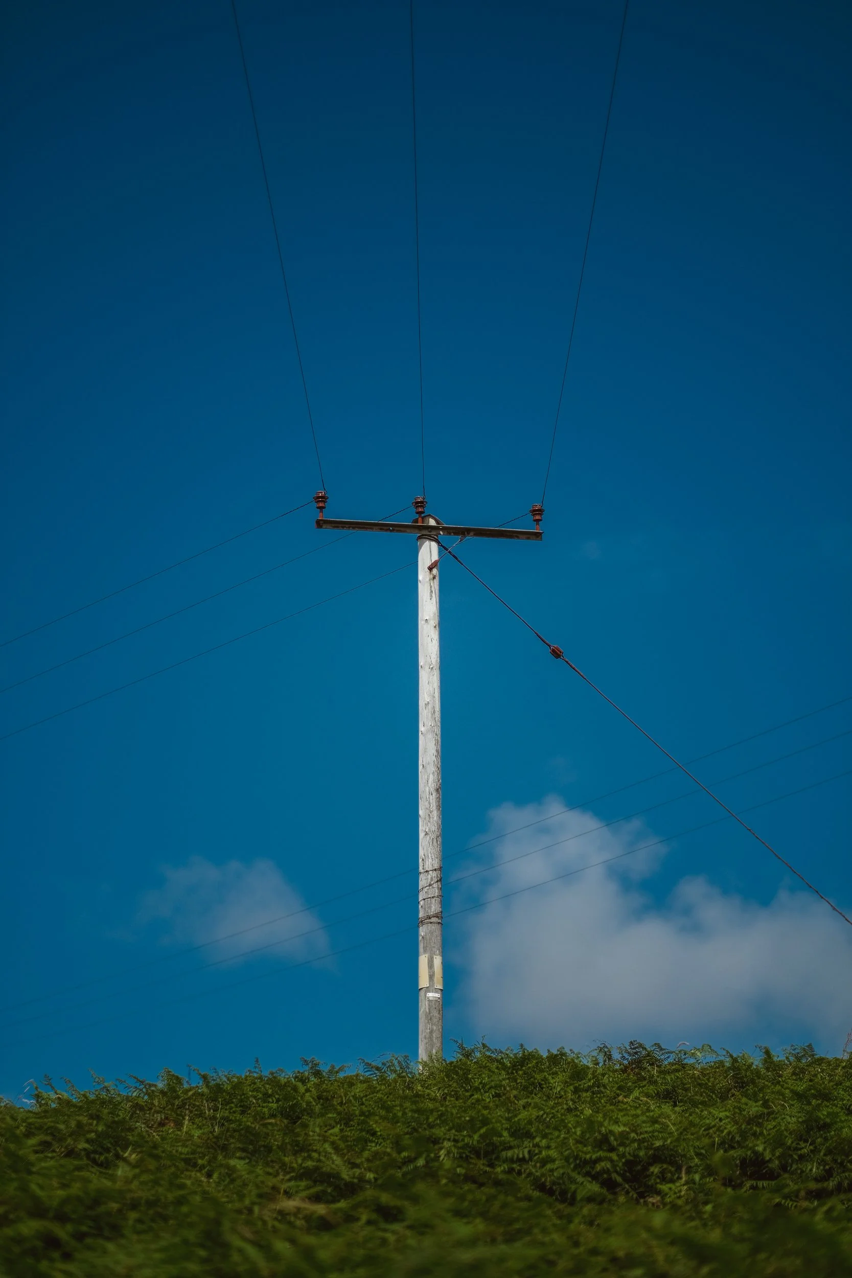 HEBT4031.jpg