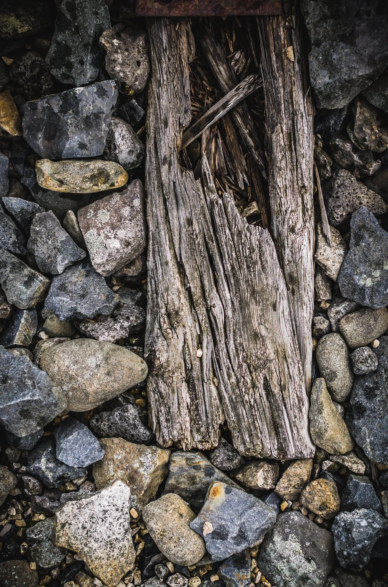 20140429-FSR_9547.jpg
