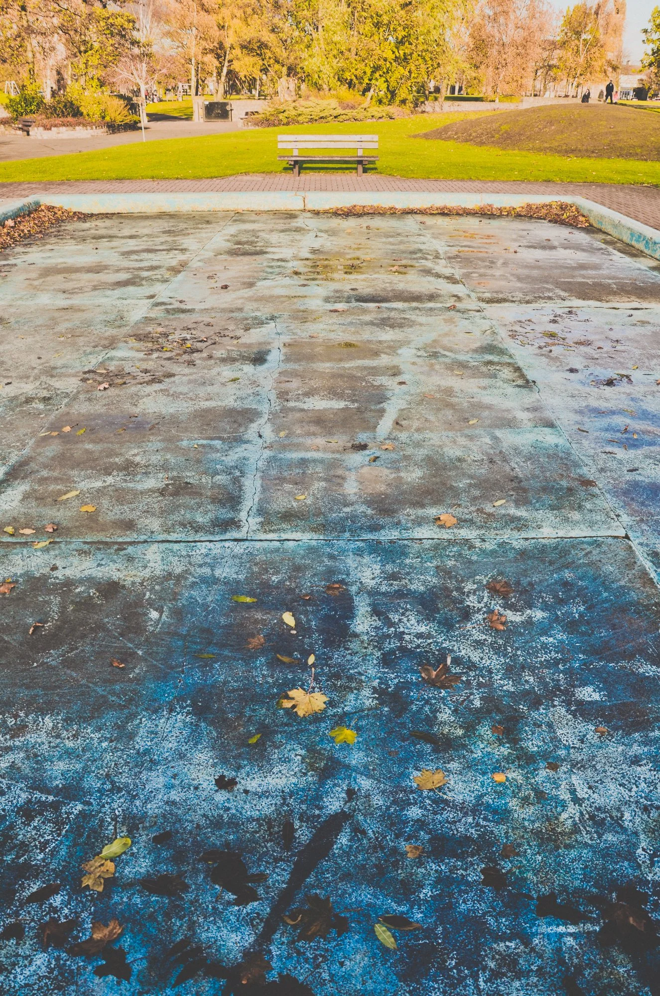 20131116-_FSR0121.jpg