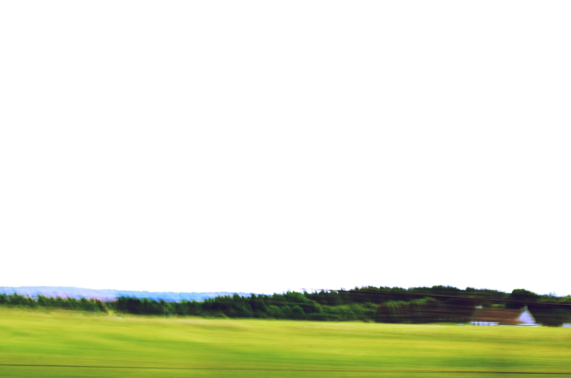 20130714-abstractgrass4.jpg