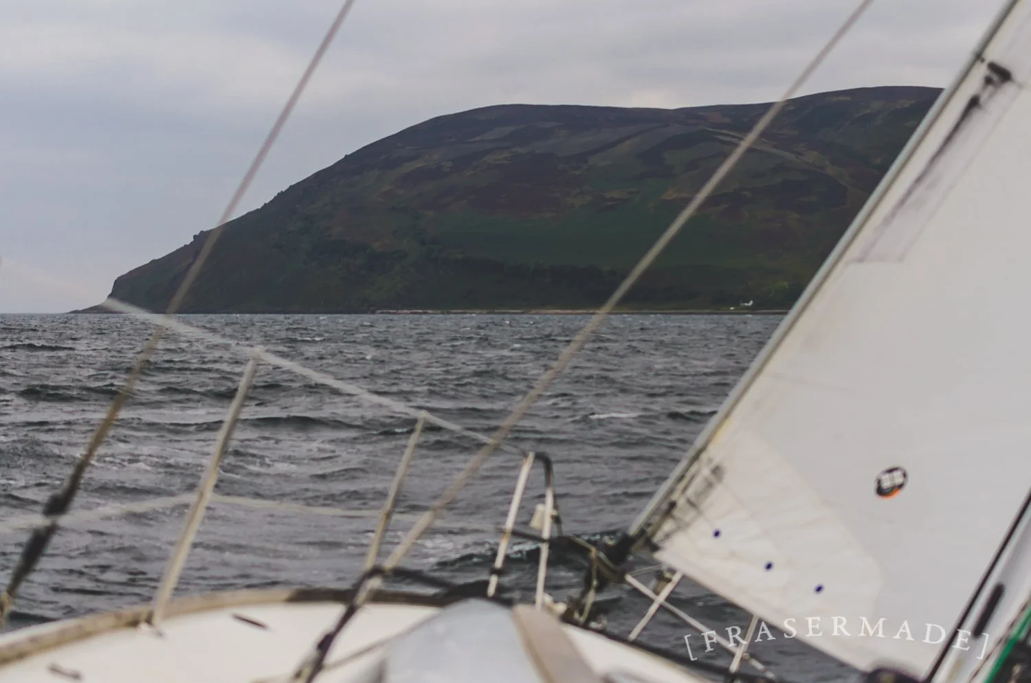 FSR_2555.jpg