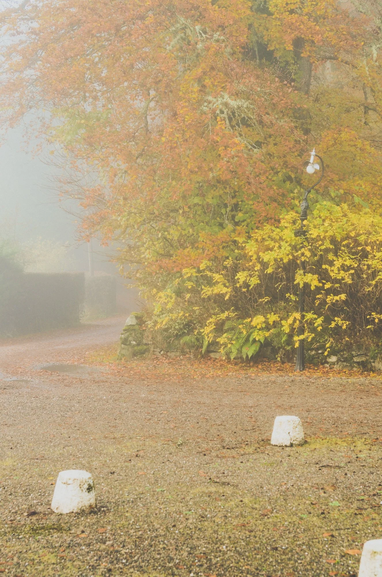 20131110-_FSR9589.jpg