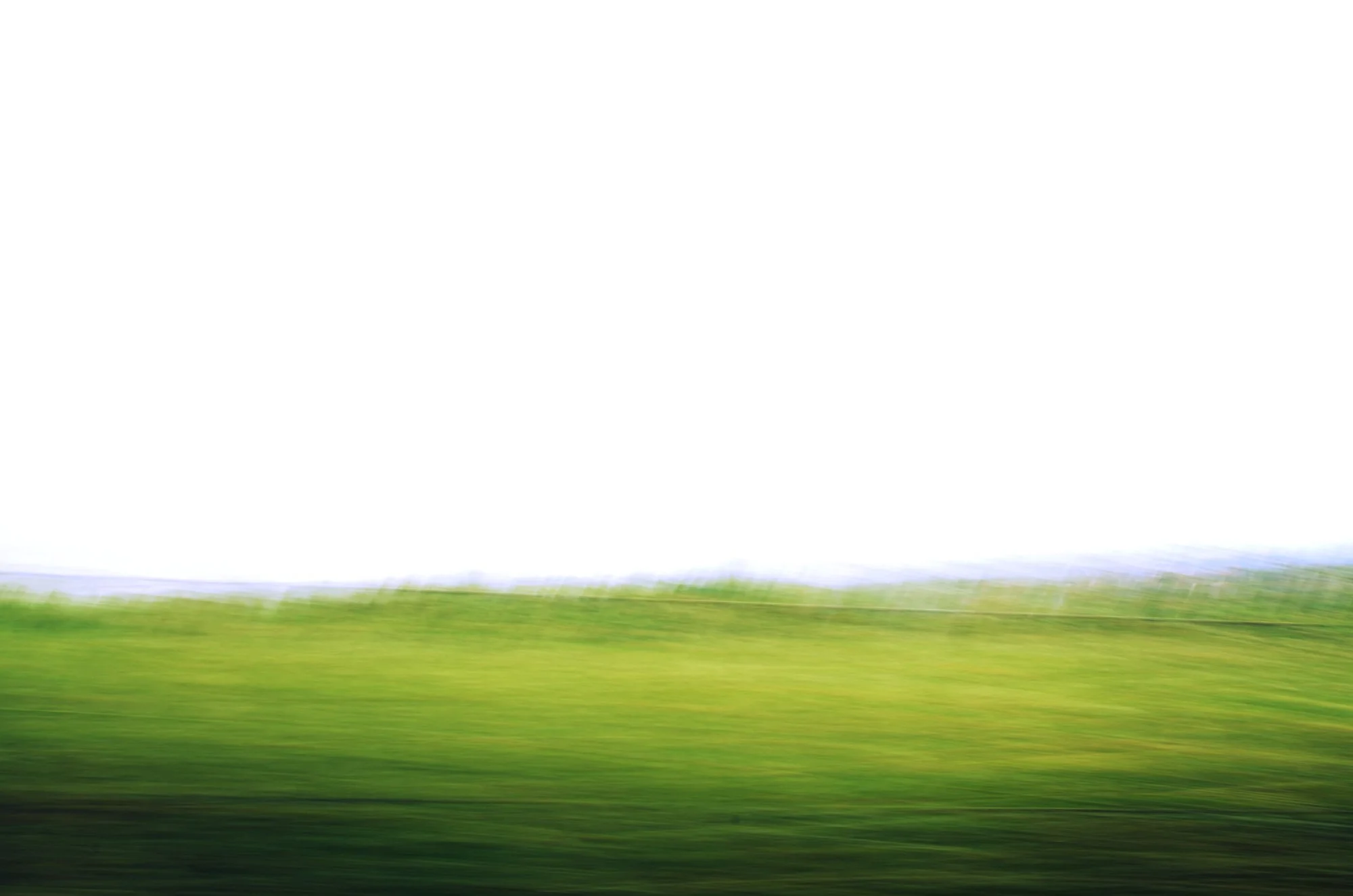 20130714-abstractgrass5.jpg