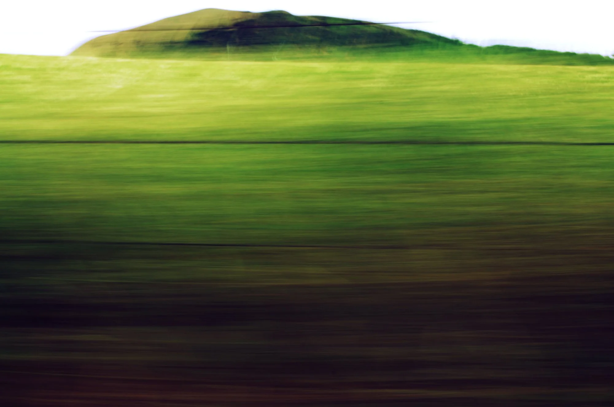 20130714-abstractgrass8.jpg