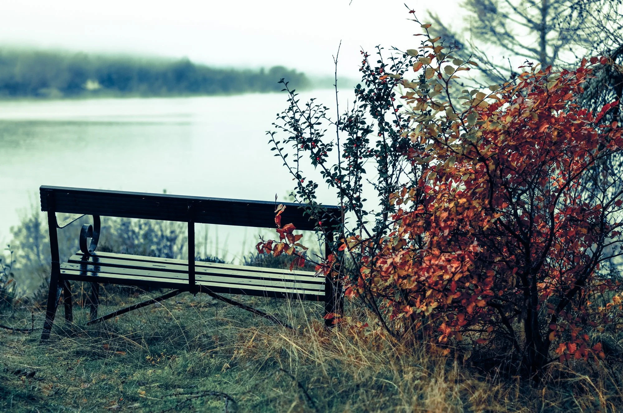 20131110-_FSR9362.jpg