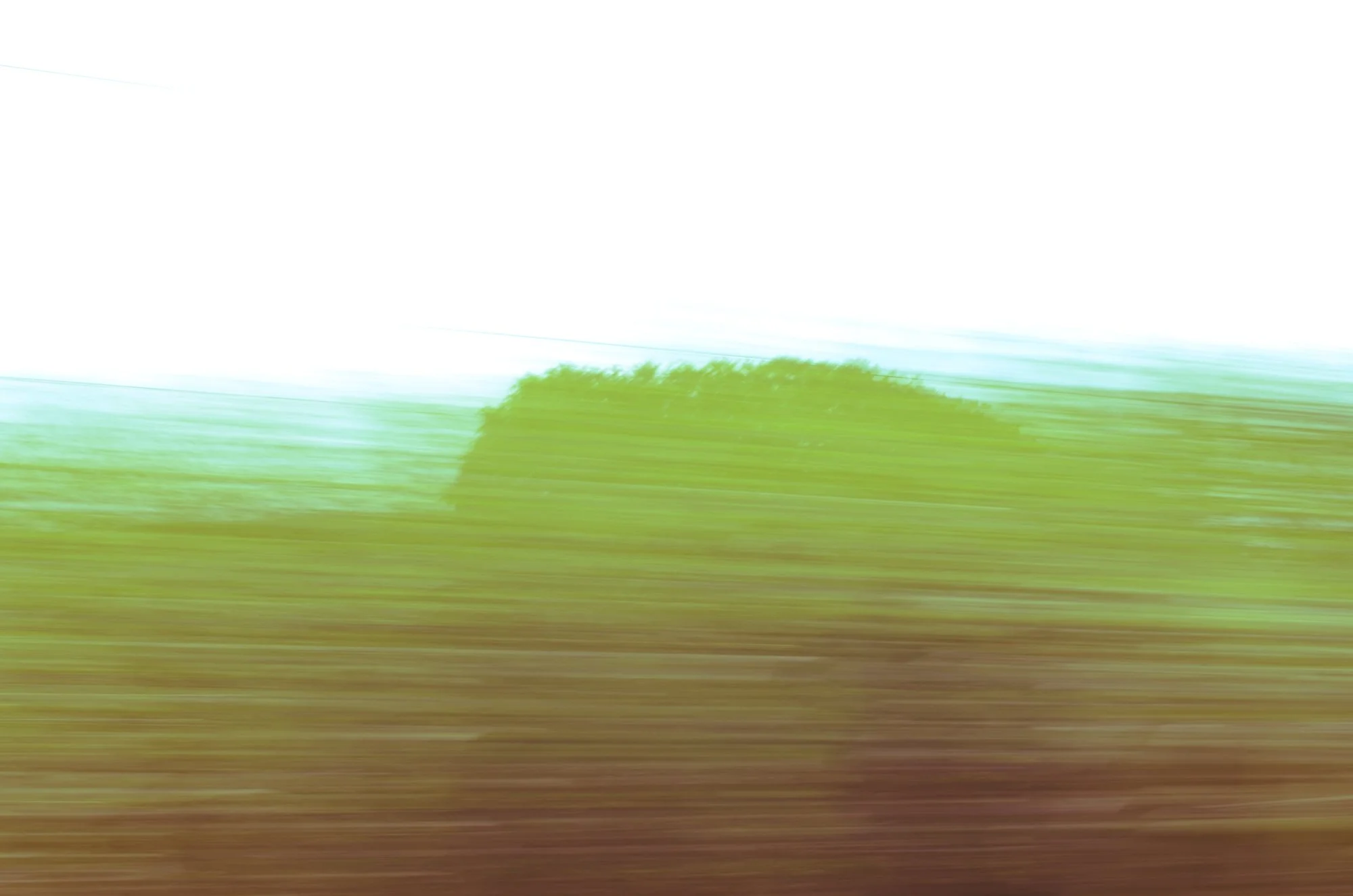 20130714-abstractgrass.jpg