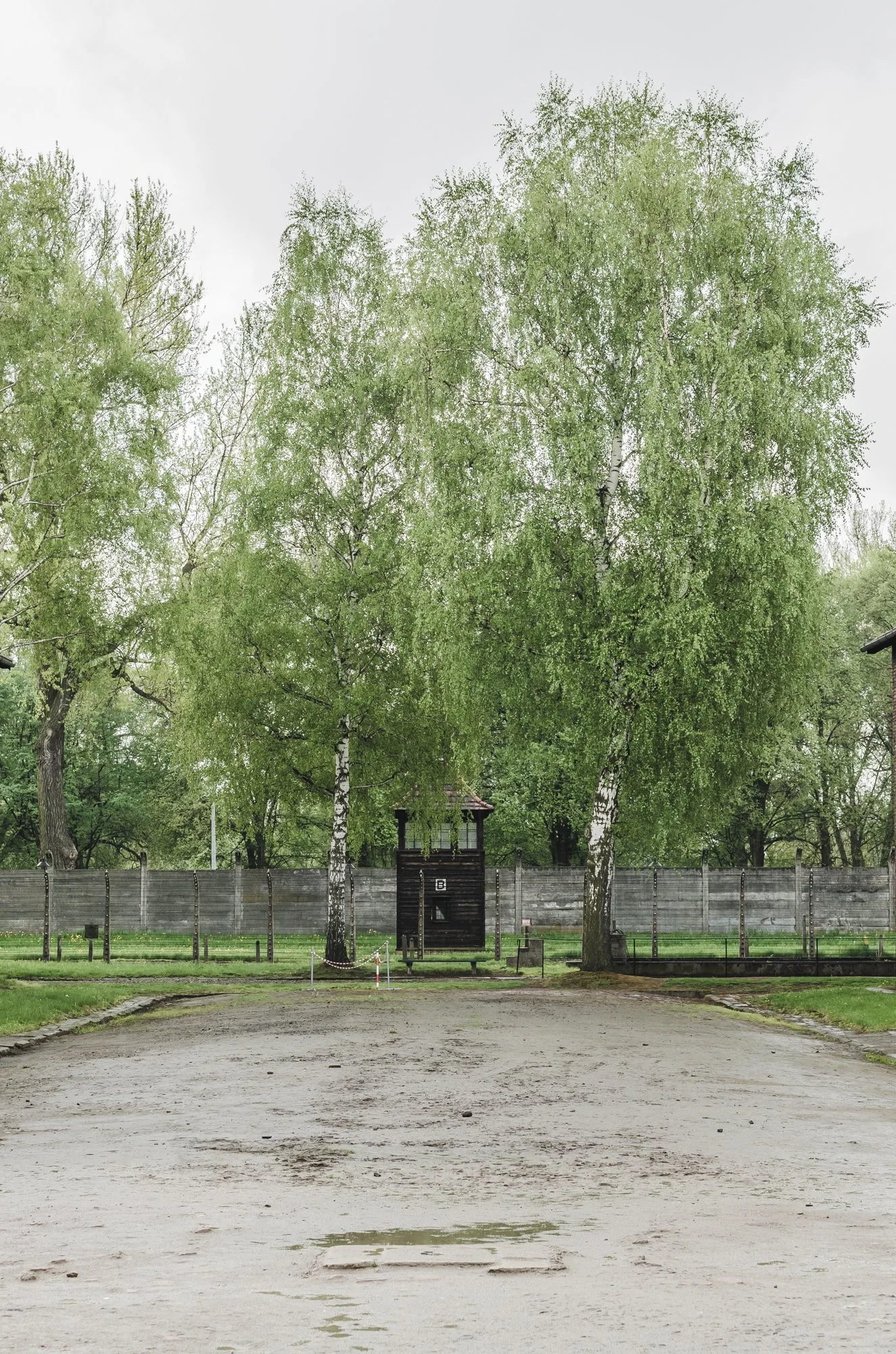 20140429-FSR_9523.jpg