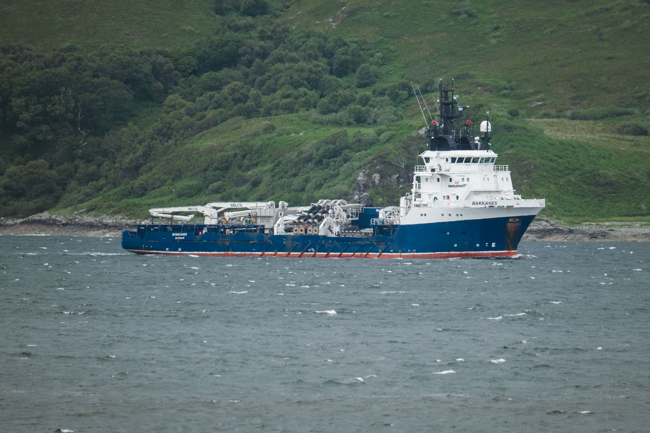 HEBT1275.jpg