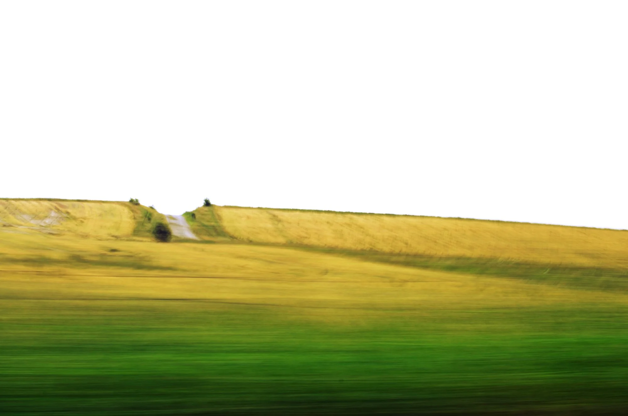 20130714-abstractgrass6.jpg