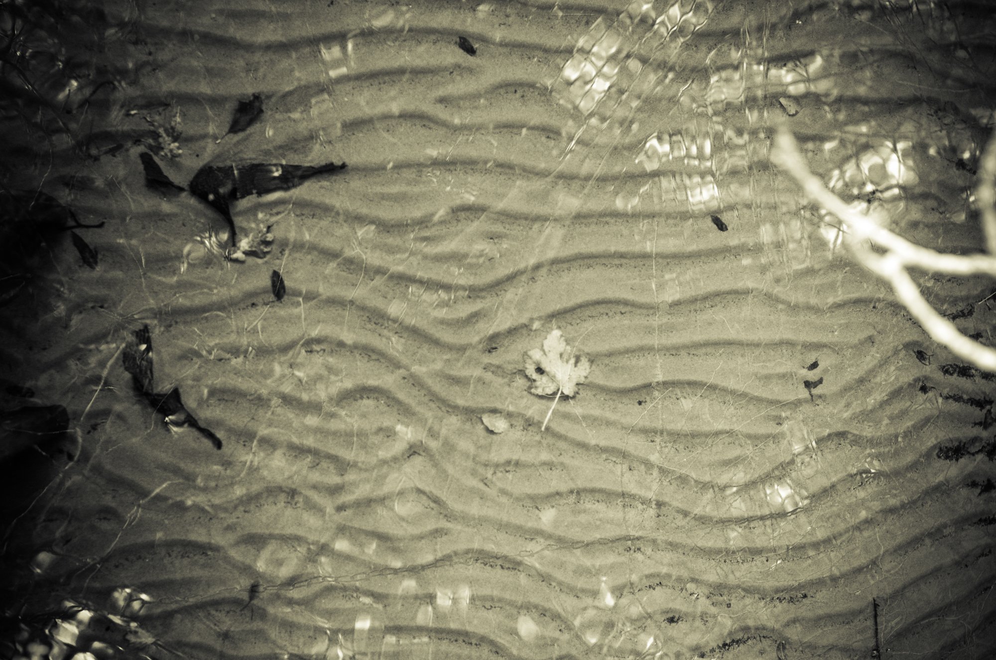 20131110-_FSR9399.jpg