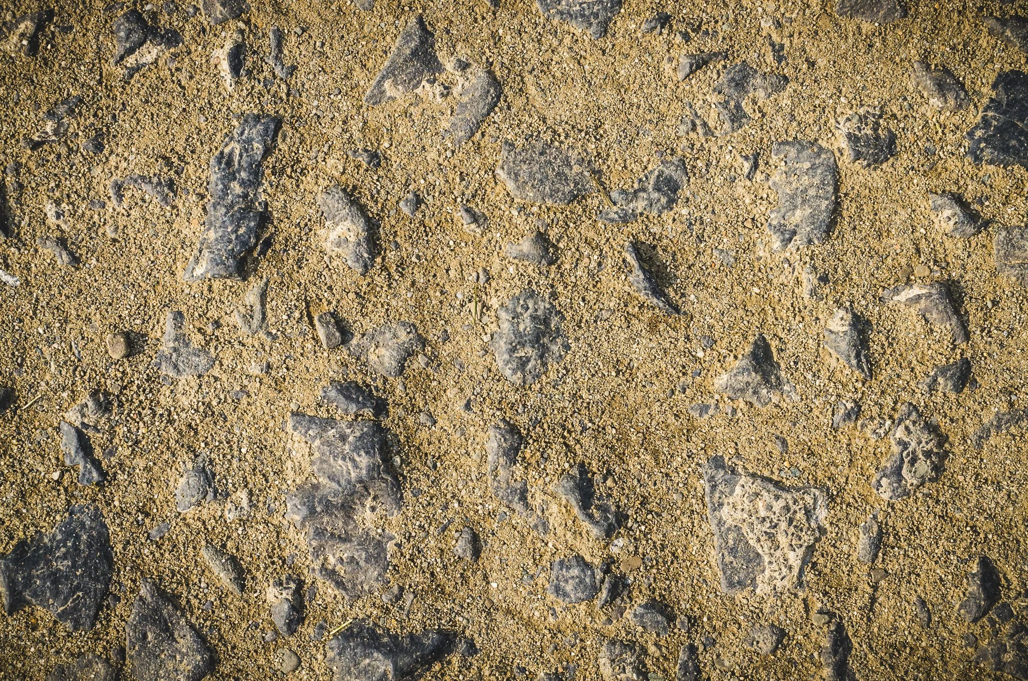20140429-FSR_9573.jpg