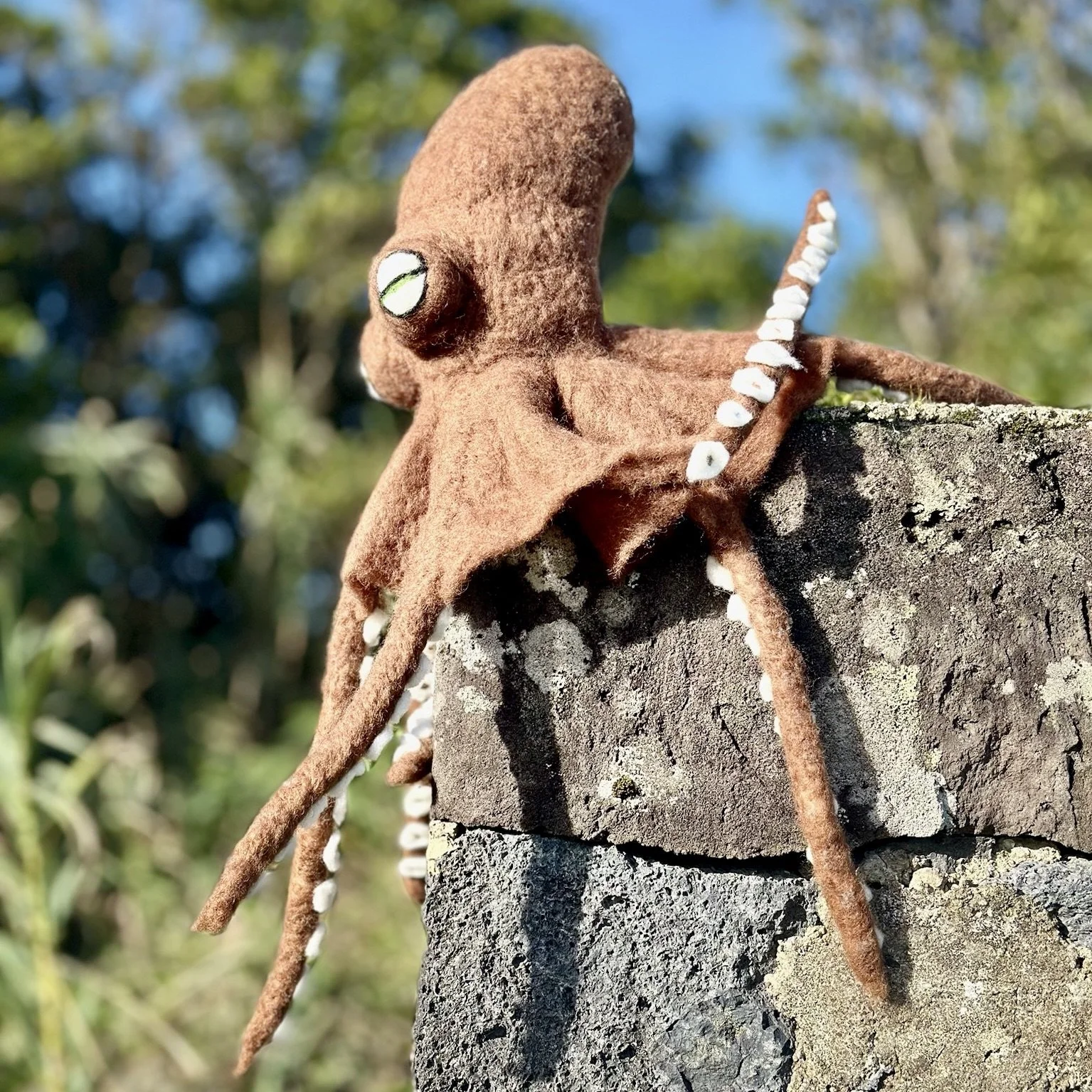 A handmade plush octopus toy with brown felt body, white beaded tentacles, and embroidered eyes, resting on a rough stone surface outdoors with a blurred green and blue background.