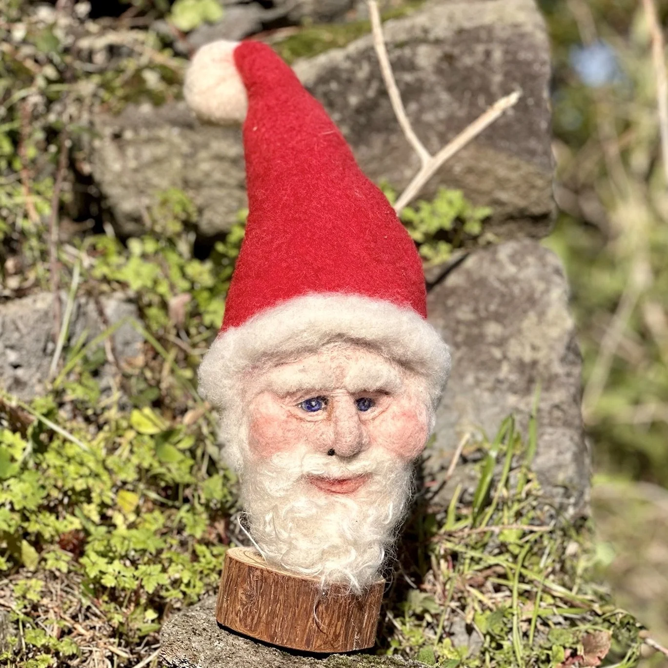 A Santa Claus figurine with a red hat, white beard, and blue eyes, mounted on a wooden base, outdoors on rocks and greenery.
