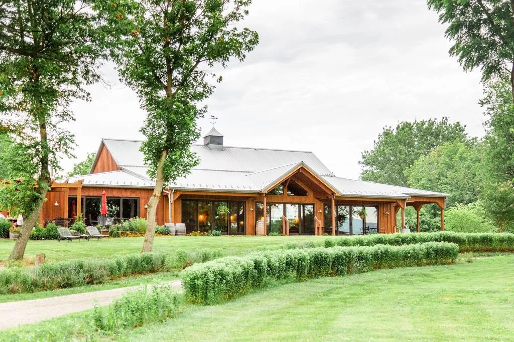 Vineyards at Dodon Winery Tour