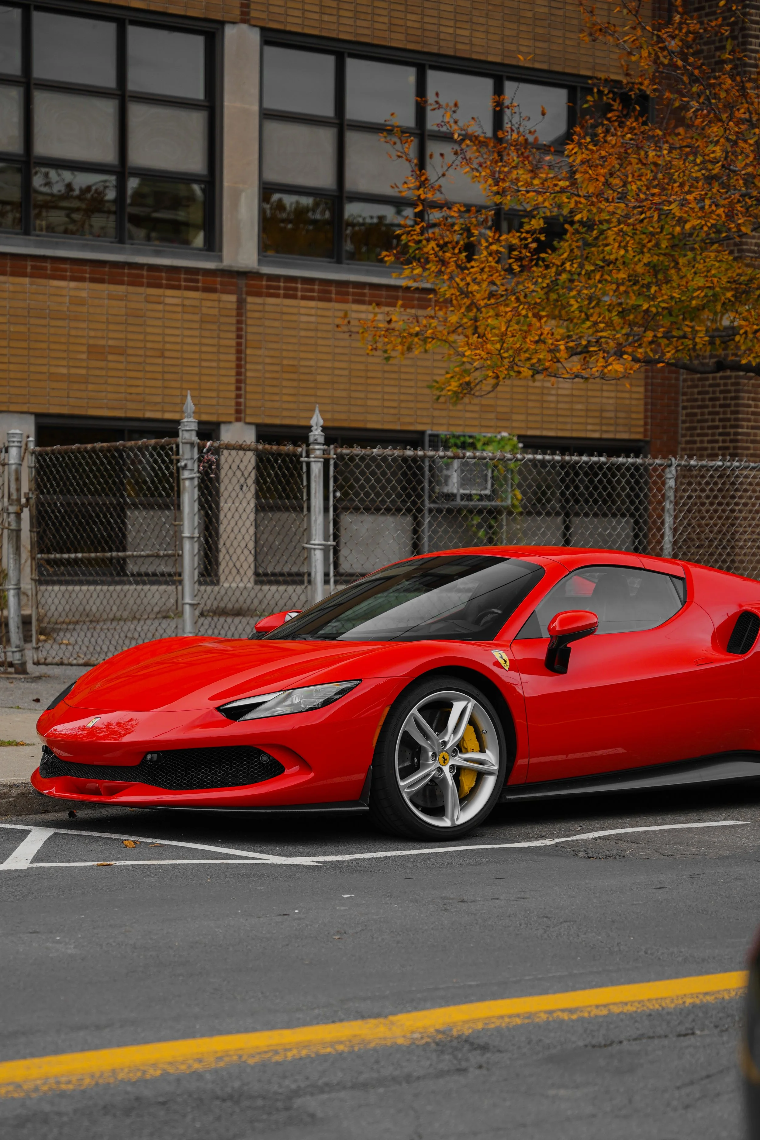 DSC07114.jpg