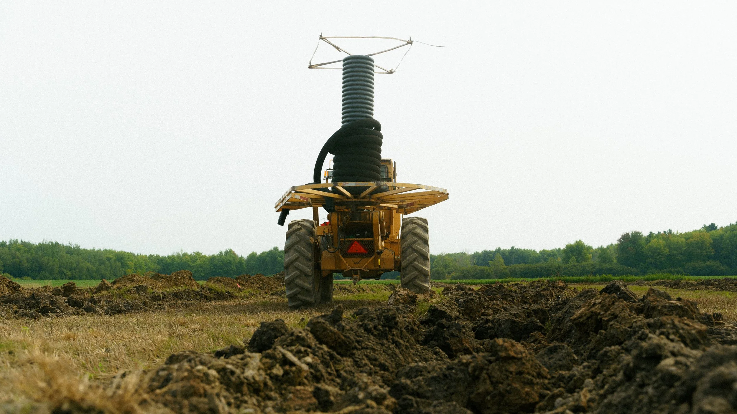 DSC09596.jpg