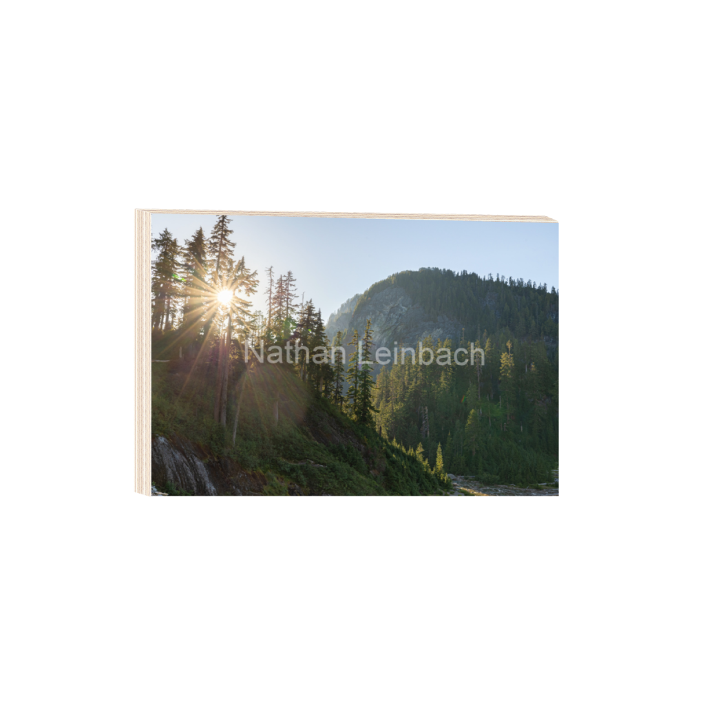 ptq_29_3_0_0_6834_4556_0_false_ffffff_0_0_7f9aed47810cc9daae9031405508cae6.png