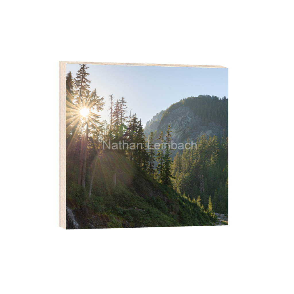 ptq_29_0_673_0_4556_4556_0_false_ffffff_0_0_7f9aed47810cc9daae9031405508cae6.png