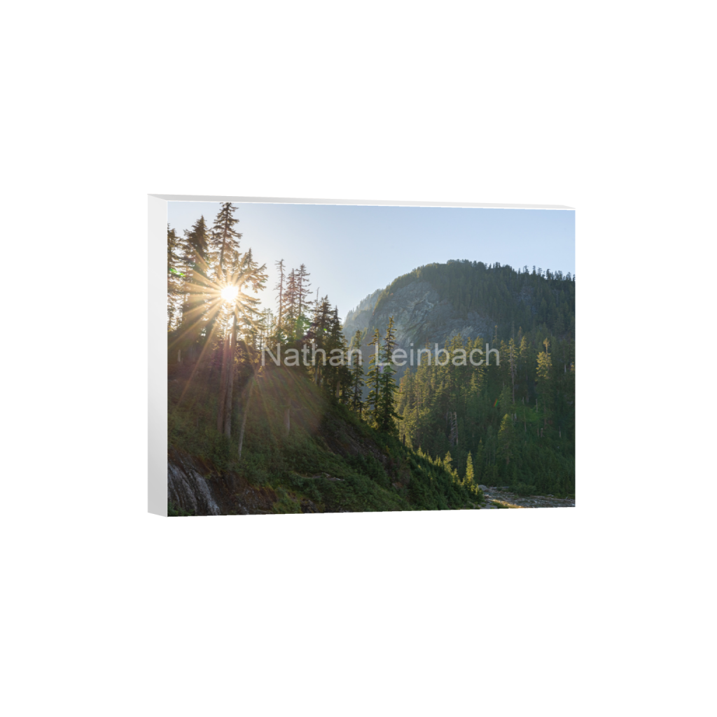 ptq_7_5_299_0_6074_4556_0_false_ffffff_0_0_7f9aed47810cc9daae9031405508cae6.png