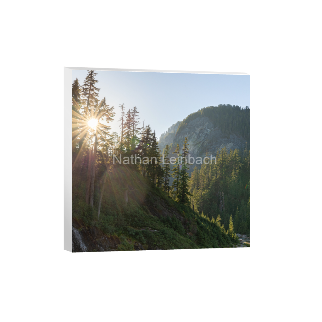 ptq_7_0_673_0_4556_4556_0_false_ffffff_0_0_7f9aed47810cc9daae9031405508cae6.png