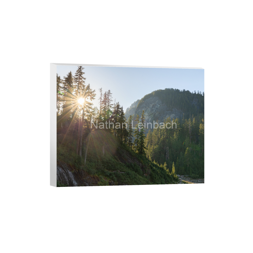 ptq_7_6_278_0_5695_4556_0_false_ffffff_0_0_7f9aed47810cc9daae9031405508cae6.png