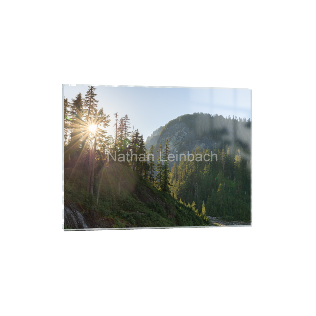 ptq_17_5_299_0_6074_4556_0_false_ffffff_0_0_7f9aed47810cc9daae9031405508cae6.png