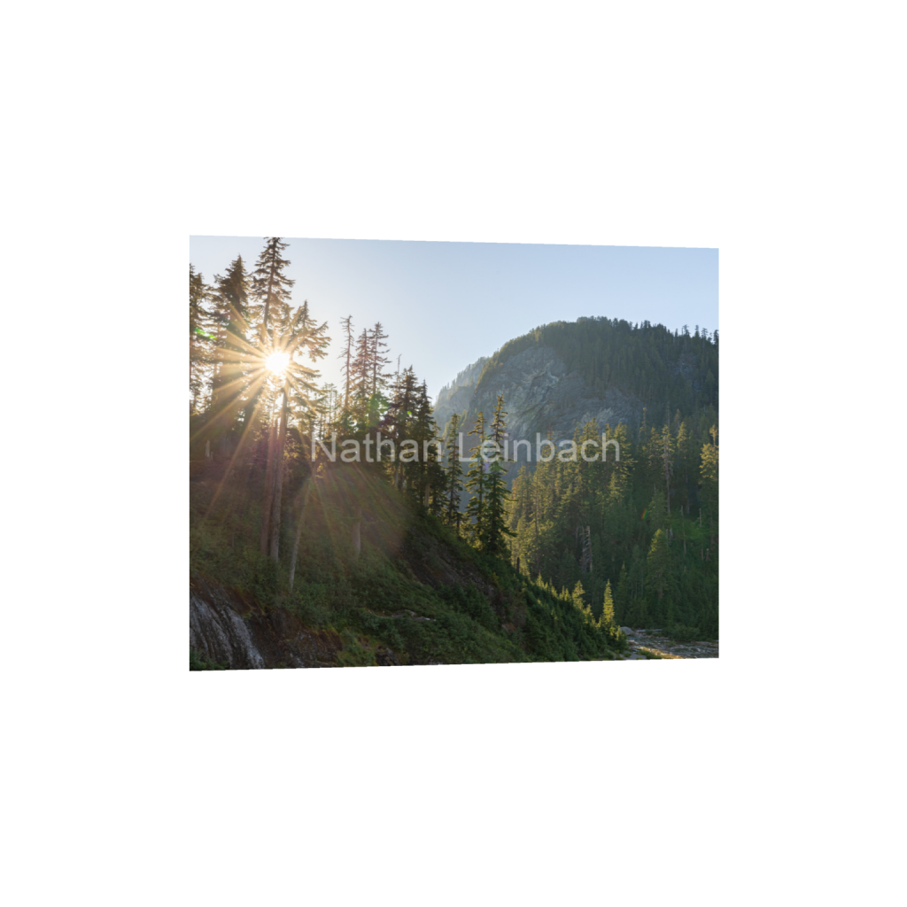 ptq_1_6_278_0_5695_4556_0_false_ffffff_0_0_7f9aed47810cc9daae9031405508cae6.png