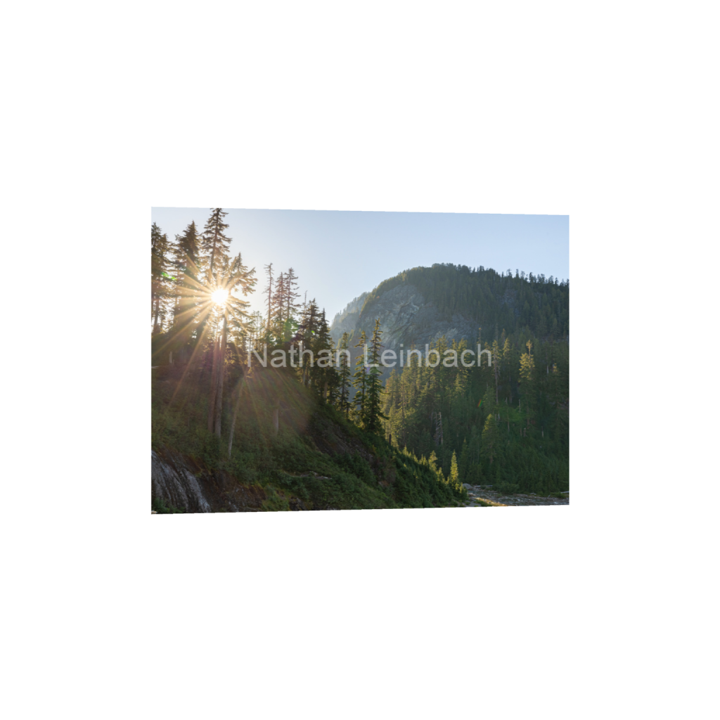 ptq_1_7_185_0_6378_4556_0_false_ffffff_0_0_7f9aed47810cc9daae9031405508cae6.png