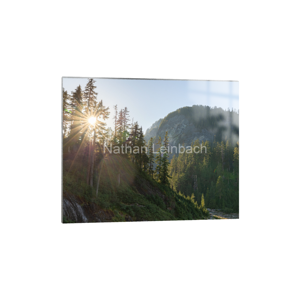 ptq_13_6_278_0_5695_4556_0_false_ffffff_0_0_7f9aed47810cc9daae9031405508cae6.png