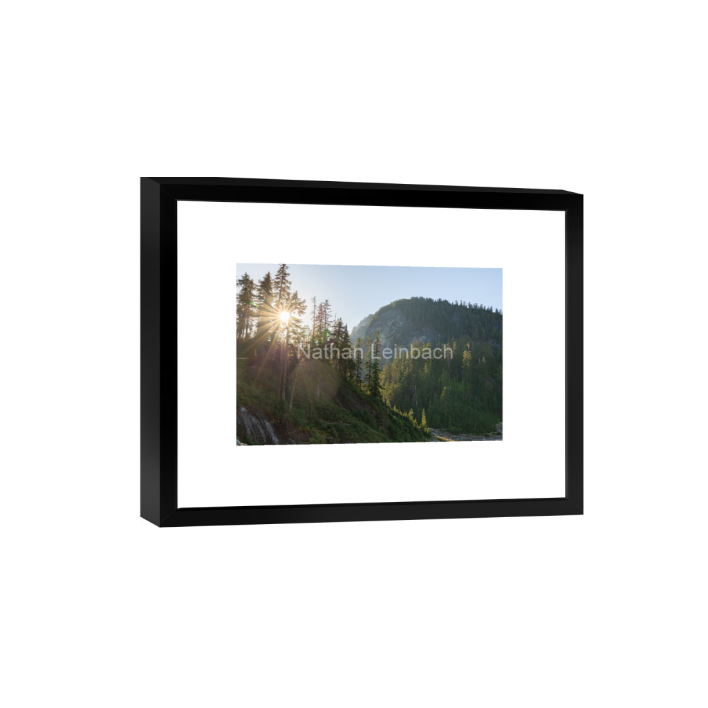 ptq_45_3_0_0_6834_4556_0_false_ffffff_0_0_7f9aed47810cc9daae9031405508cae6.png
