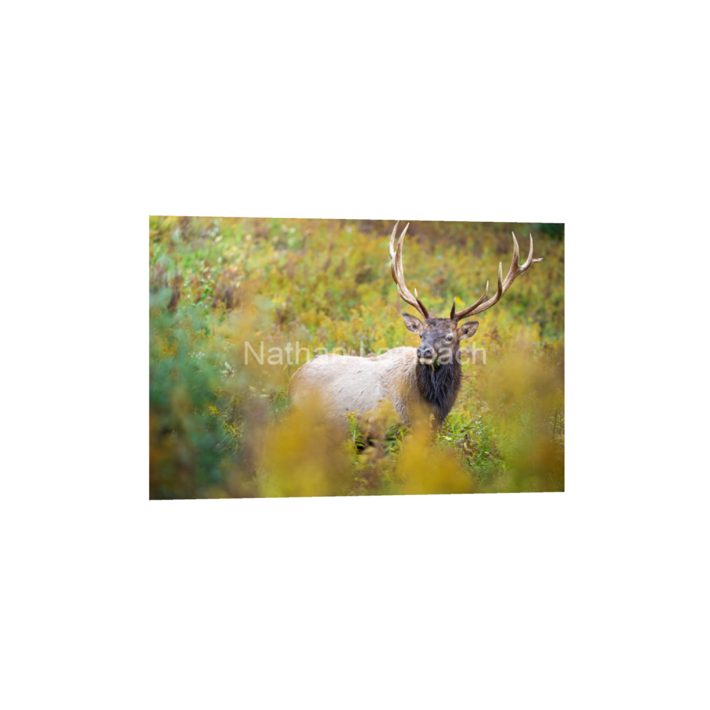 ptq_1_3_0_205_6151_4100_0_false_ffffff_0_0_7f9aed47810cc9daae9031405508cae6.png
