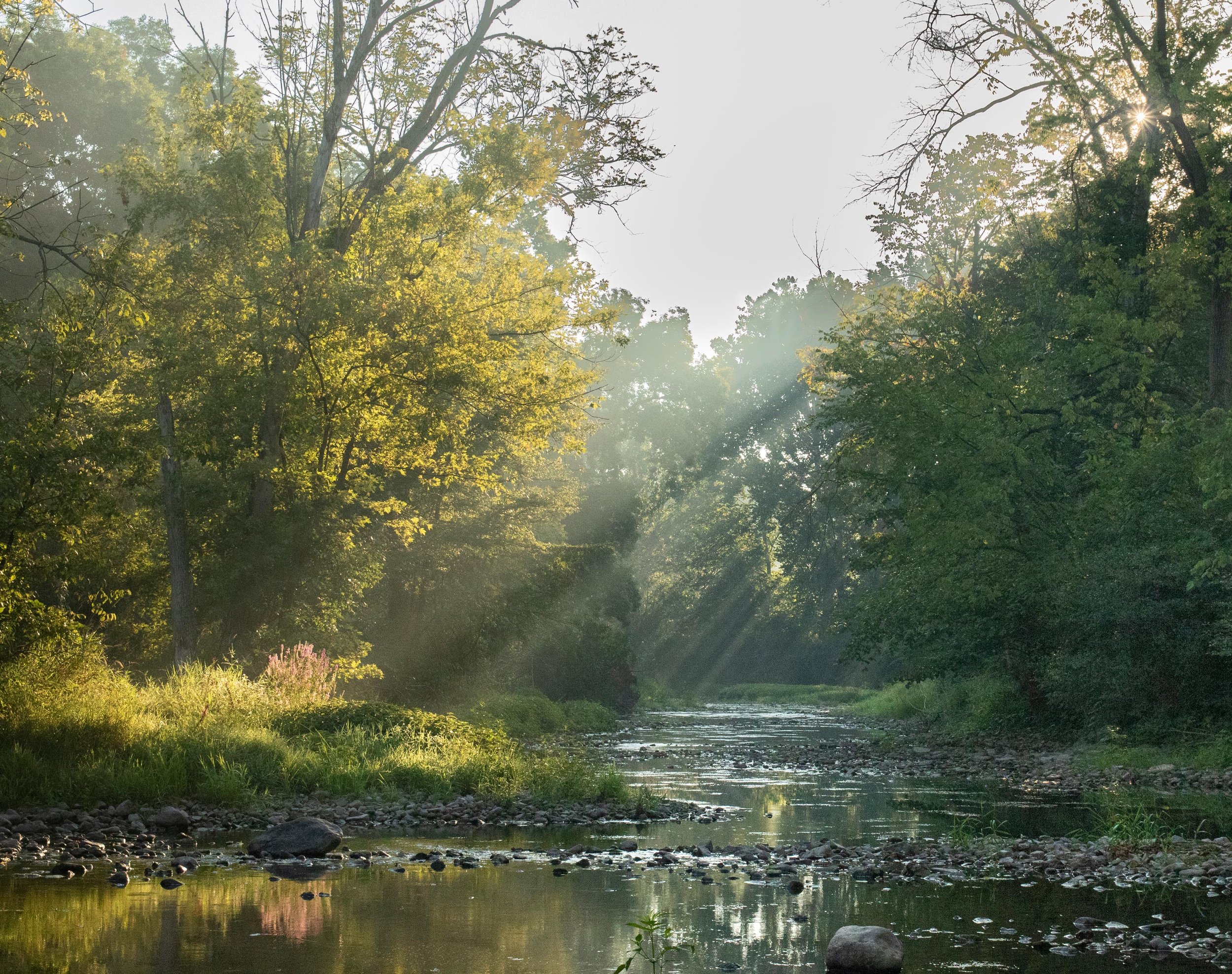 sunny-morning-sun-rays-creek-stream.jpg