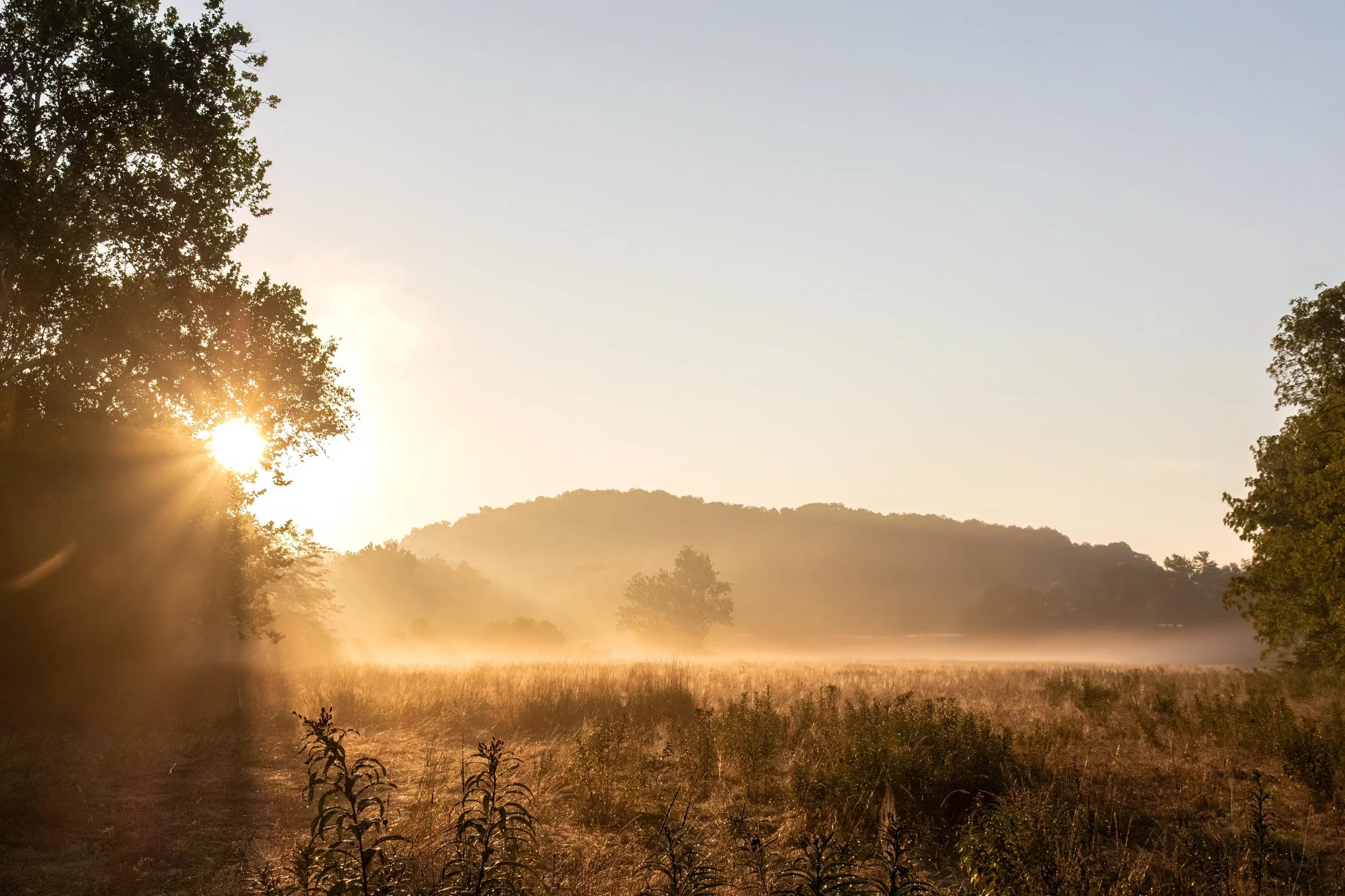 sunrise-fog-sunset-field.jpg