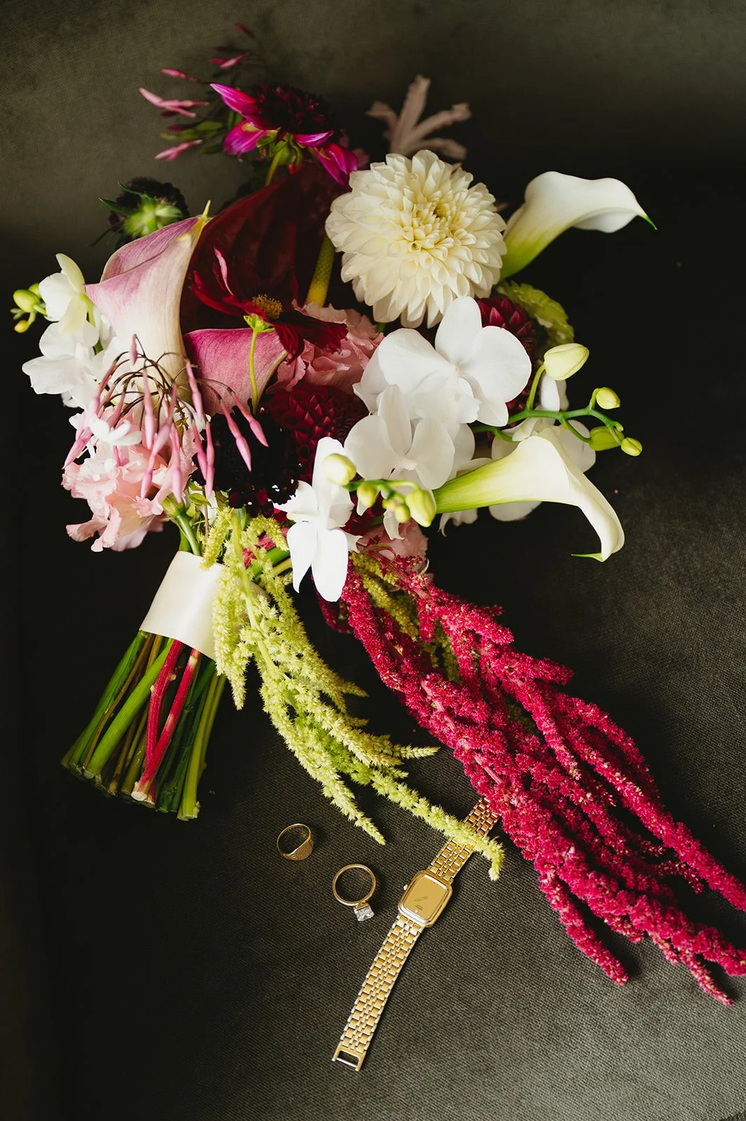 HBPHOTO-2026-3_Original.jpg